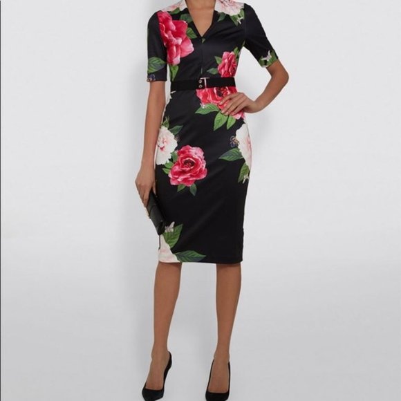 Ted Baker Dresses & Skirts - Ted Baker Dress Sz 6 GILANNO Magnificent V Neck Bodycon NWT